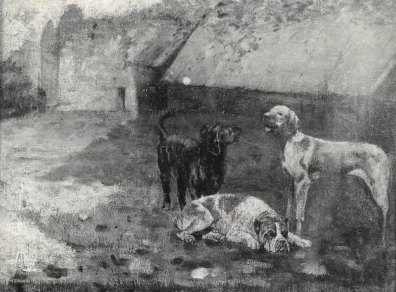 Tre cani - Musei Civici di Pavia